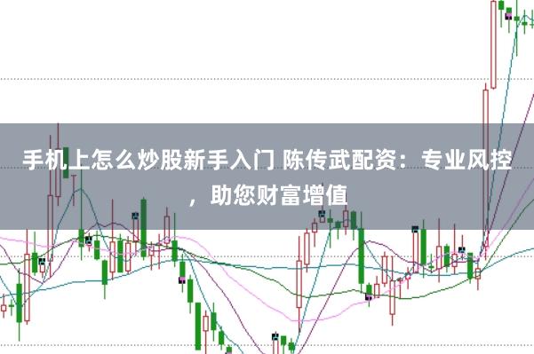 手机上怎么炒股新手入门 陈传武配资：专业风控，助您财富增值