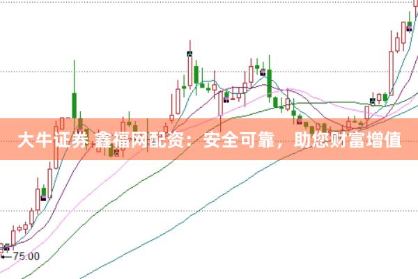大牛证券 鑫福网配资：安全可靠，助您财富增值
