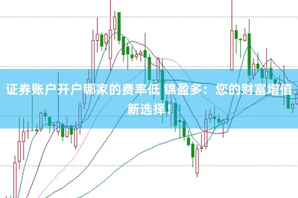 证券账户开户哪家的费率低 锦盈多：您的财富增值新选择！