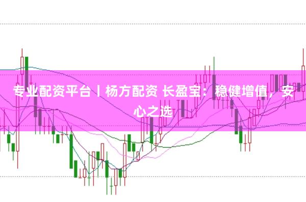 专业配资平台丨杨方配资 长盈宝：稳健增值，安心之选