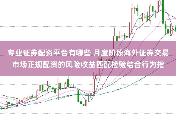 专业证券配资平台有哪些 月度阶段海外证券交易市场正规配资的风险收益匹配检验结合行为指
