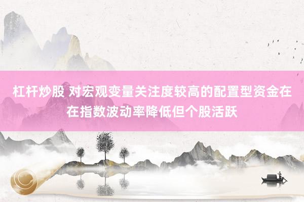 杠杆炒股 对宏观变量关注度较高的配置型资金在在指数波动率降低但个股活跃