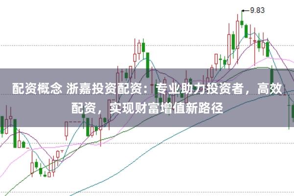 配资概念 浙嘉投资配资：专业助力投资者，高效配资，实现财富增值新路径